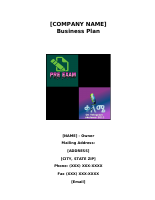 Business plan sample.doc